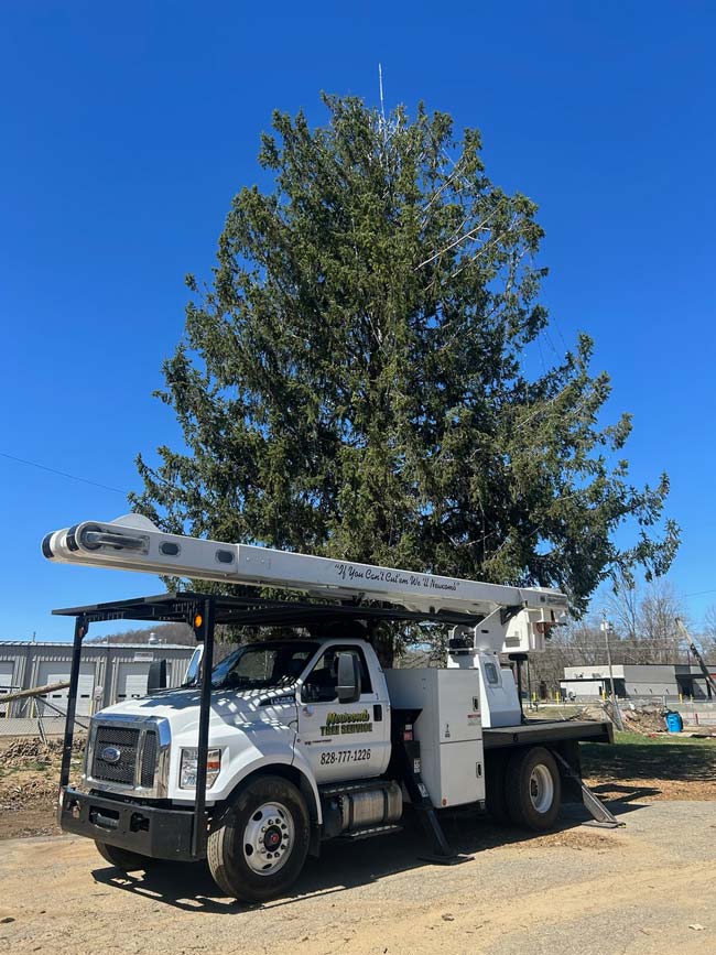 Tree service truck