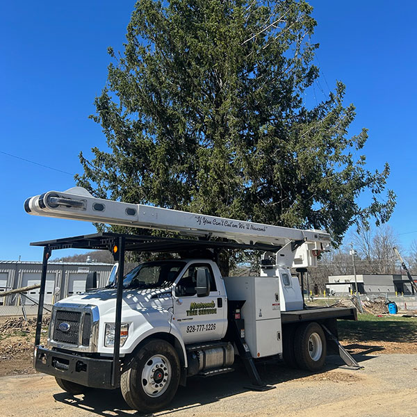 NewcombTree